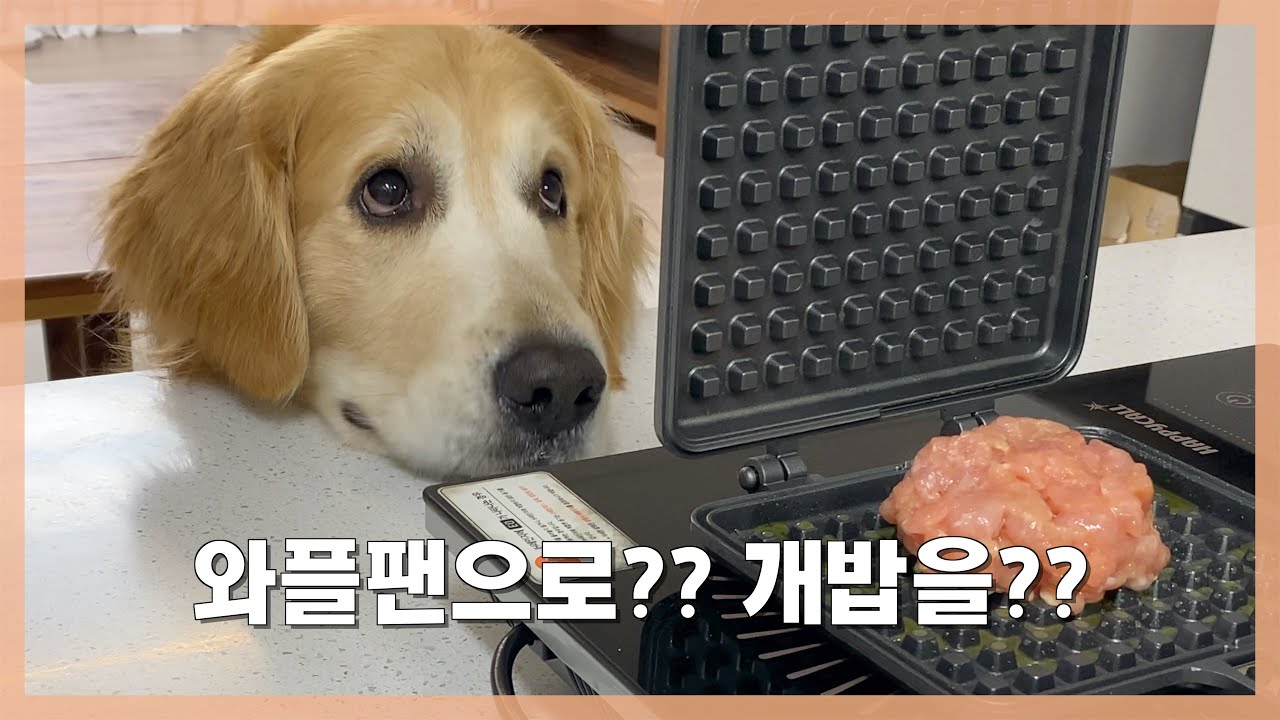 개주인이 와플팬에 미치면 생기는 일 [Eng Sub]