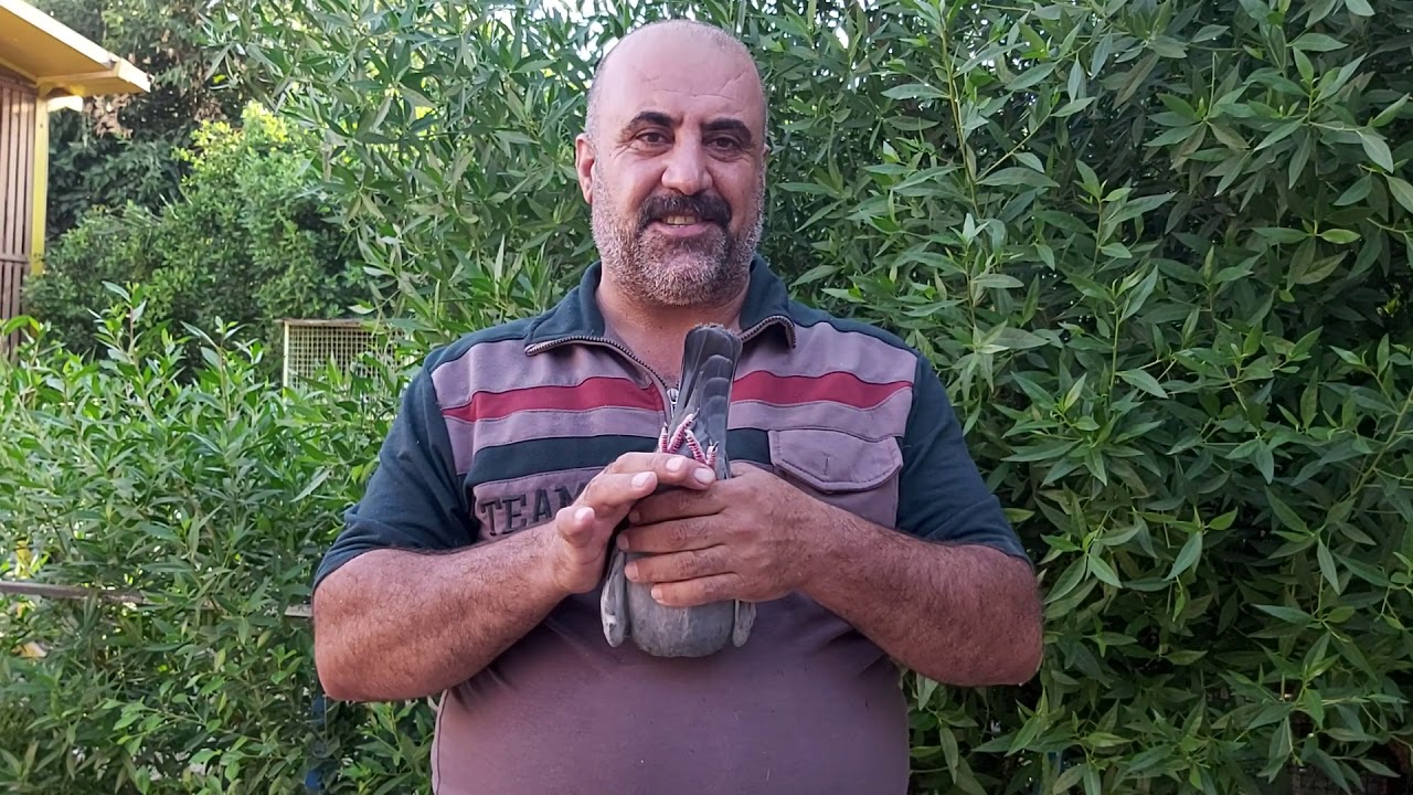 ٠سلام عليكم اليوم الشرح على حمام الجانسن