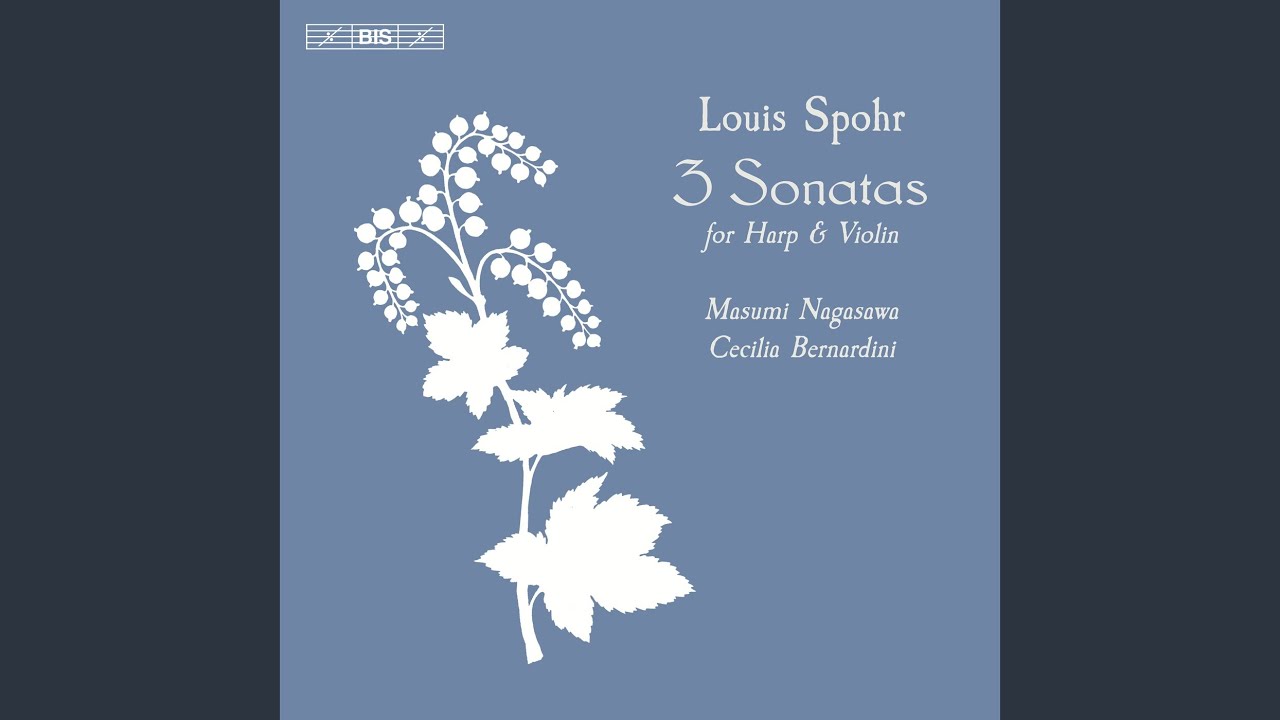 Sonata for Violin & Harp, Op. 114: II. Andante. Potpourri on Themes from The Magic Flute
