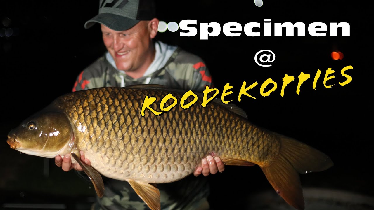 Specimen Angling with Gilbert Foxcroft