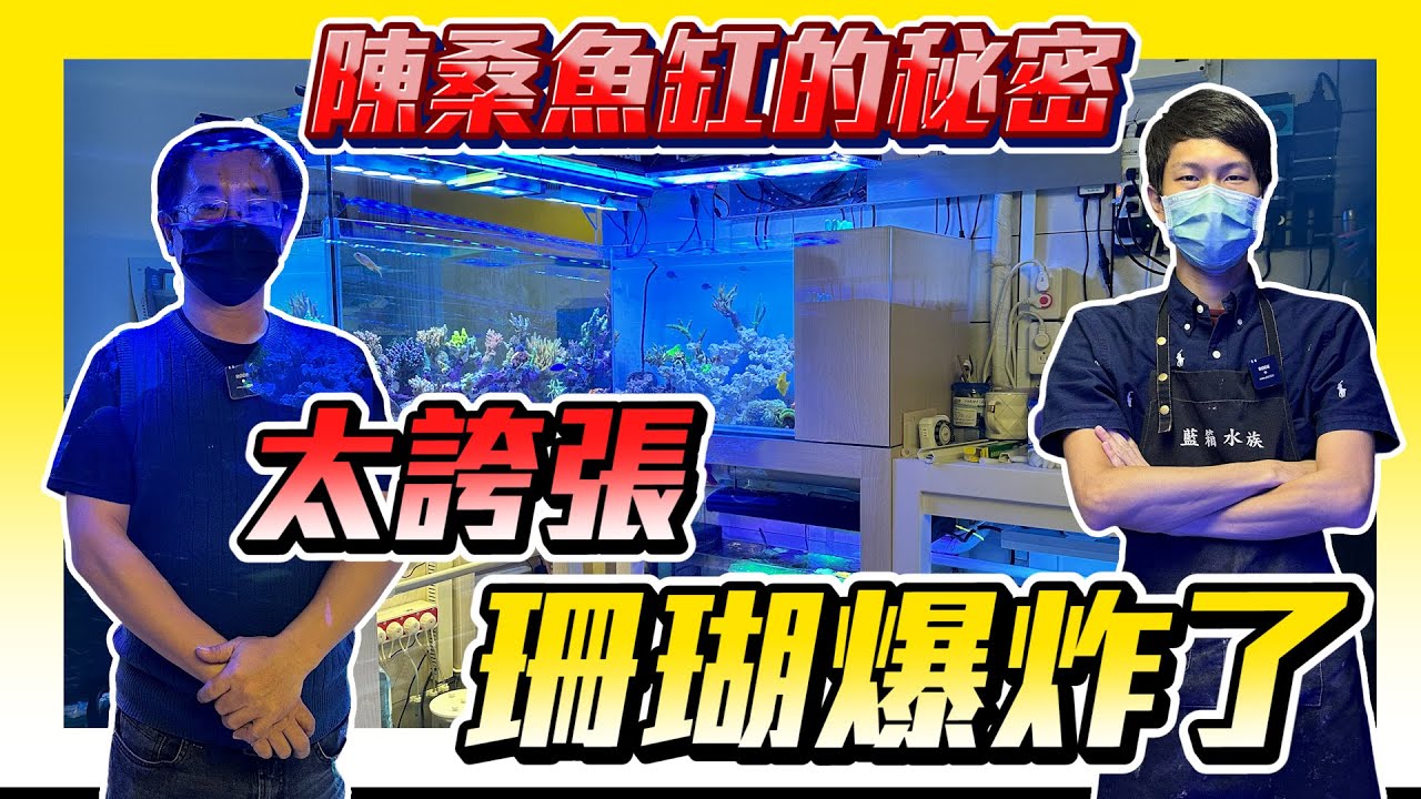 【藍箱水族】來去魚友家→從不會養，養到炸出來！陳桑的珊瑚缸續集！一起來翻缸