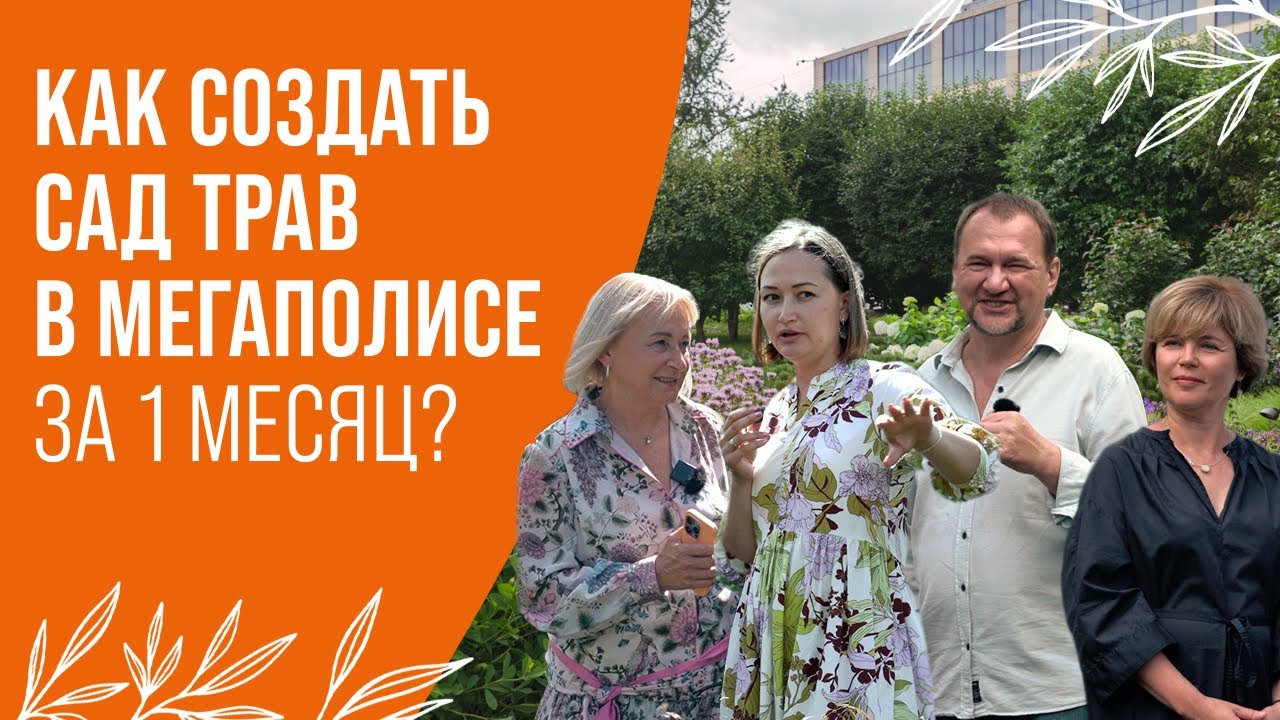 КАК СОЗДАТЬ САД ТРАВ В МЕГАПОЛИСЕ ЗА 1 МЕСЯЦ?