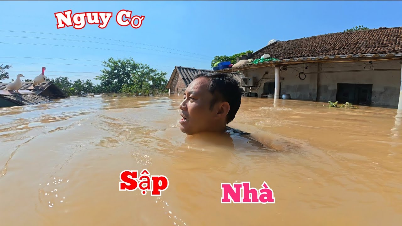 Nước Cứ L&ecirc;n Nữa Th&igrave; Sập Nh&agrave; V&agrave; L&yacute; Do Mất Hết Chim Ch&agrave;o M&agrave;o Bạch