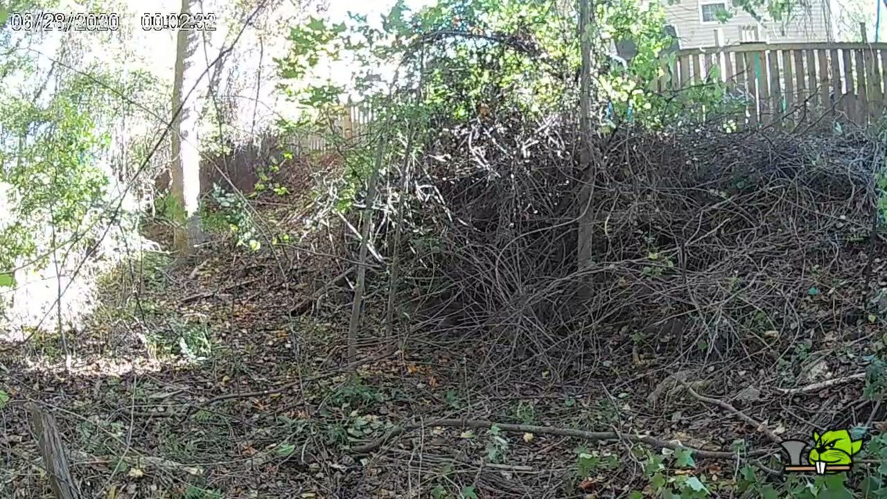 Job 1678 Cary Back Hillside Clearing 23oct2025