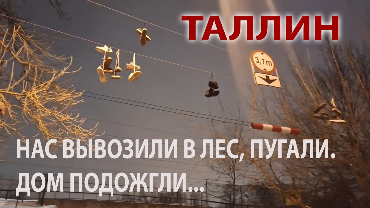 Нами занимались молодые юристы. Вывозили в лес и пугали старых одиноких бабушек. Четыре смерти...
