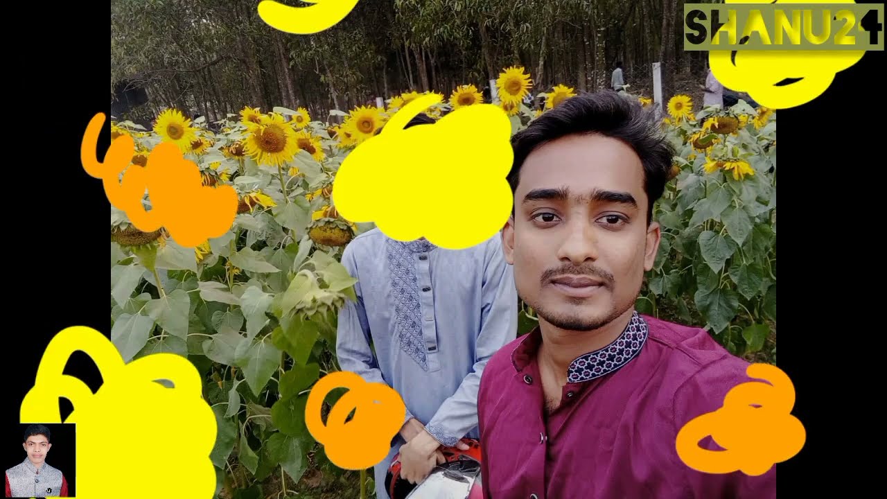 মাকড়াই সূর্যমূখী ফুলের বাগানে বায়েজিদের সাথে ❤️