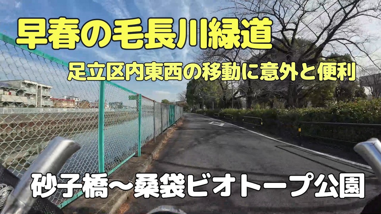 早春の毛長川緑道　砂子橋～桑袋ビオトープ公園（20260214）