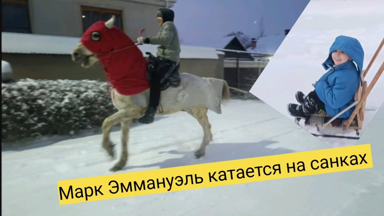 Марк Эммануэль катается на санках 
