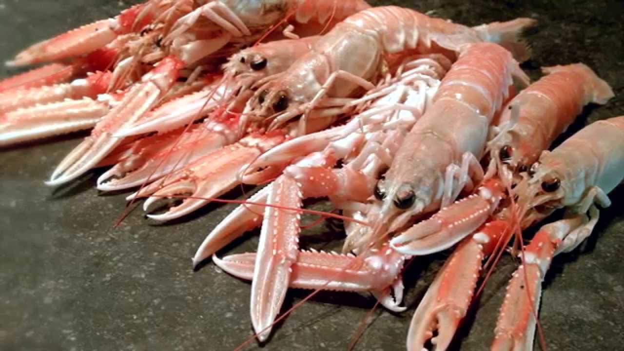 Langoustines pellen