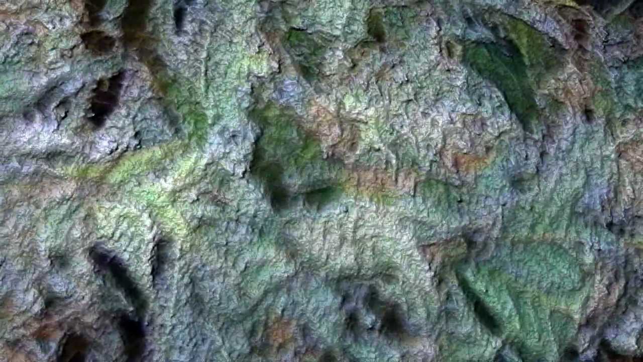 MG420: Harvest Day Og Kush @ 9 weeks flower 1080p