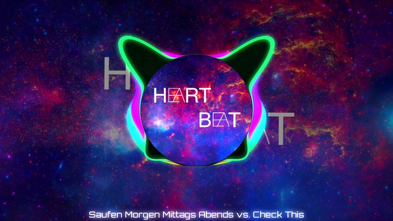 Saufen Morgens Mittags Abends vs. Check This – (Ingo ohne Flamingo vs. TJR) – Mashup by DJ HeartBeat