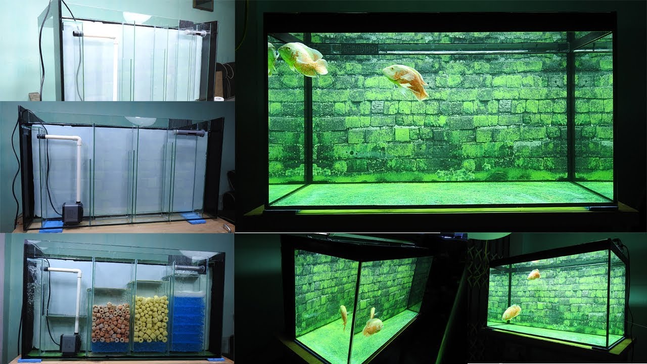 Aquarium model 11 - Aquarium tank with Filter behind background