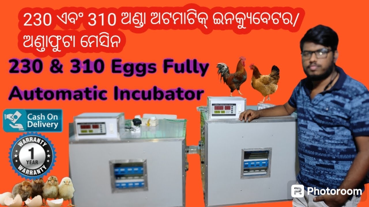 230 ଏବଂ 310 ଅଣ୍ଡା ଅଟମାଟିକ୍ ଇନକ୍ୟୁବେଟର/ ଅଣ୍ଡାଫୁଟା ମେସିନ High Quality Incubator