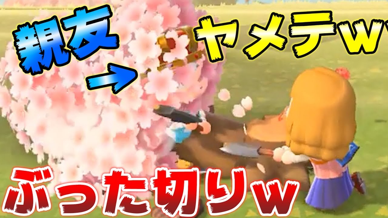 【あつ森】親友の島の木を全て切り倒すドッキリをした結果ｗｗｗ【あつまれどうぶつの森】【さとみ×ころん】