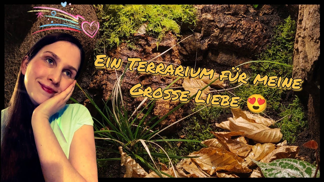 Ein Terrarium für meine große Liebe 