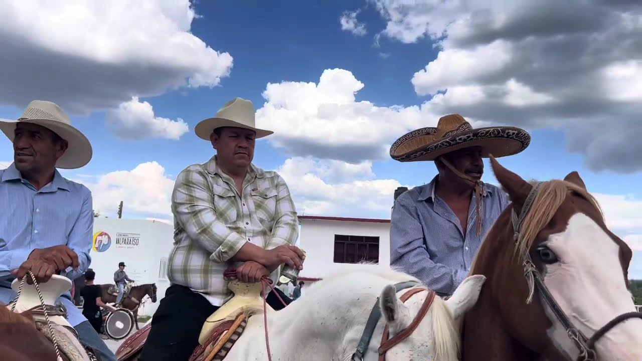 EL TEJUJAN. Fam. CASTRO 