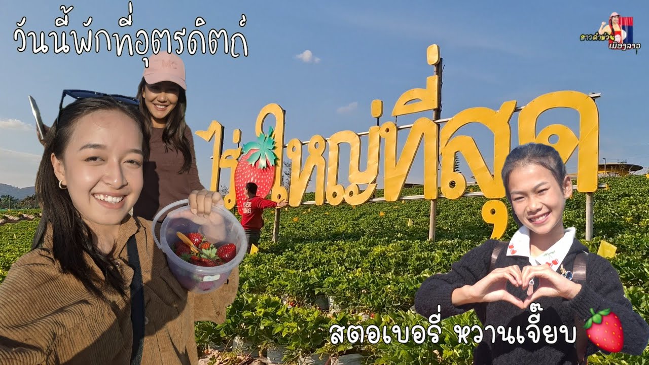 วันนี้เก็บสตอเบอรี่ ที่เขาค้อ หวานเจี้ยบ🍓 ถึงแล้วอุตรดิตถ์... 