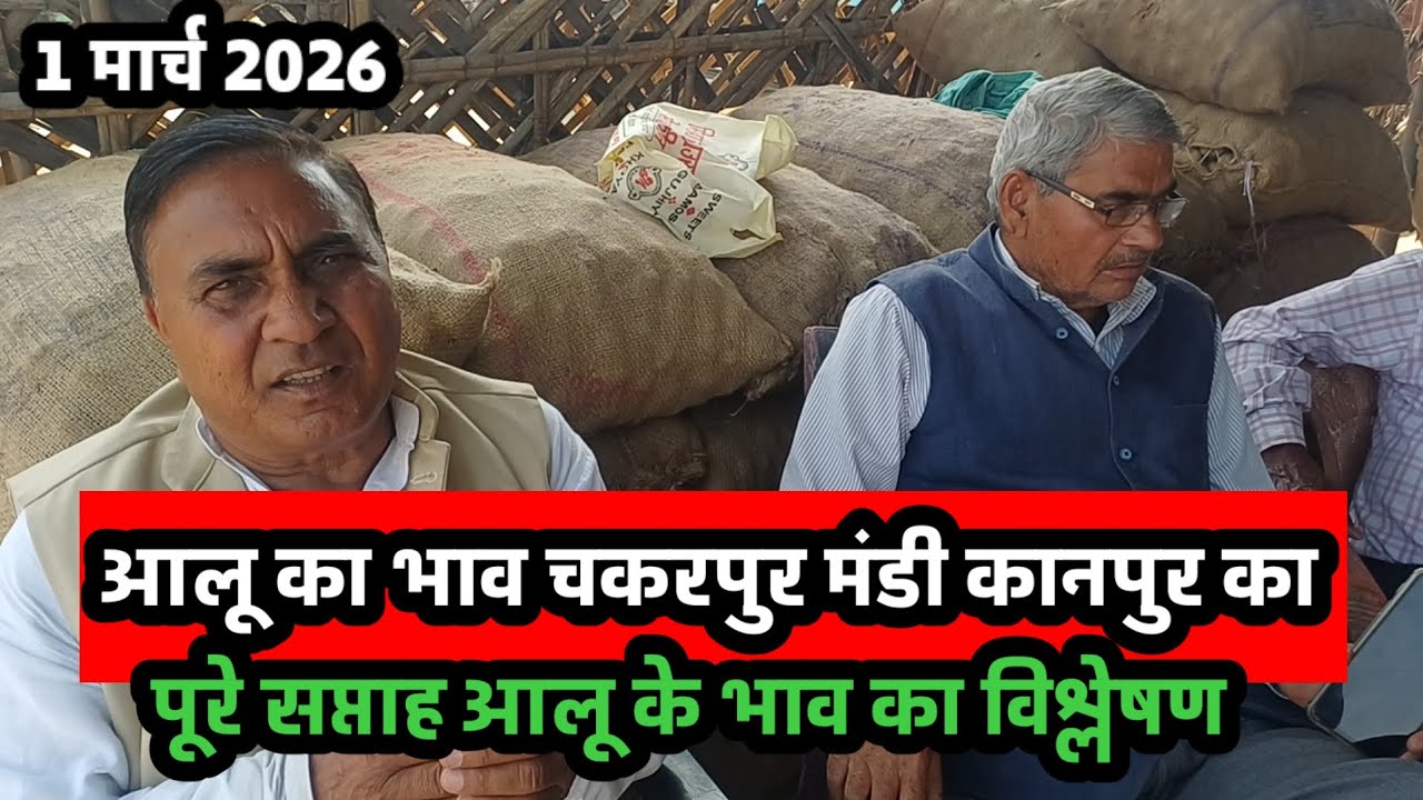 आलू का भाव चकरपुर सब्जी मंडी कानपुर का पूरे सप्ताह आलू के भाव का विश्लेषण 1 मार्च 2026