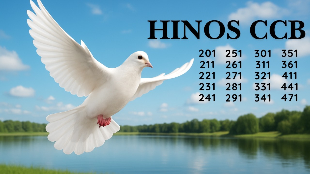 HINOS CCB - 56  |  201 211 221 231 241 251 261 271 281 291 301 311 321 331 341 351 361 411 441 471