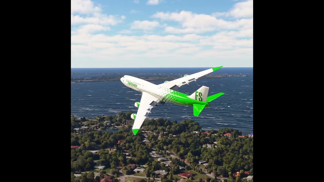 the carelessness of an airplane pilot 0251