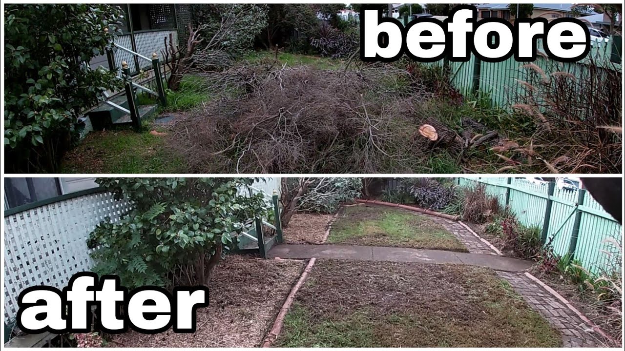 I spent 4 days cleaning her yard! Yard makeover with basic tools