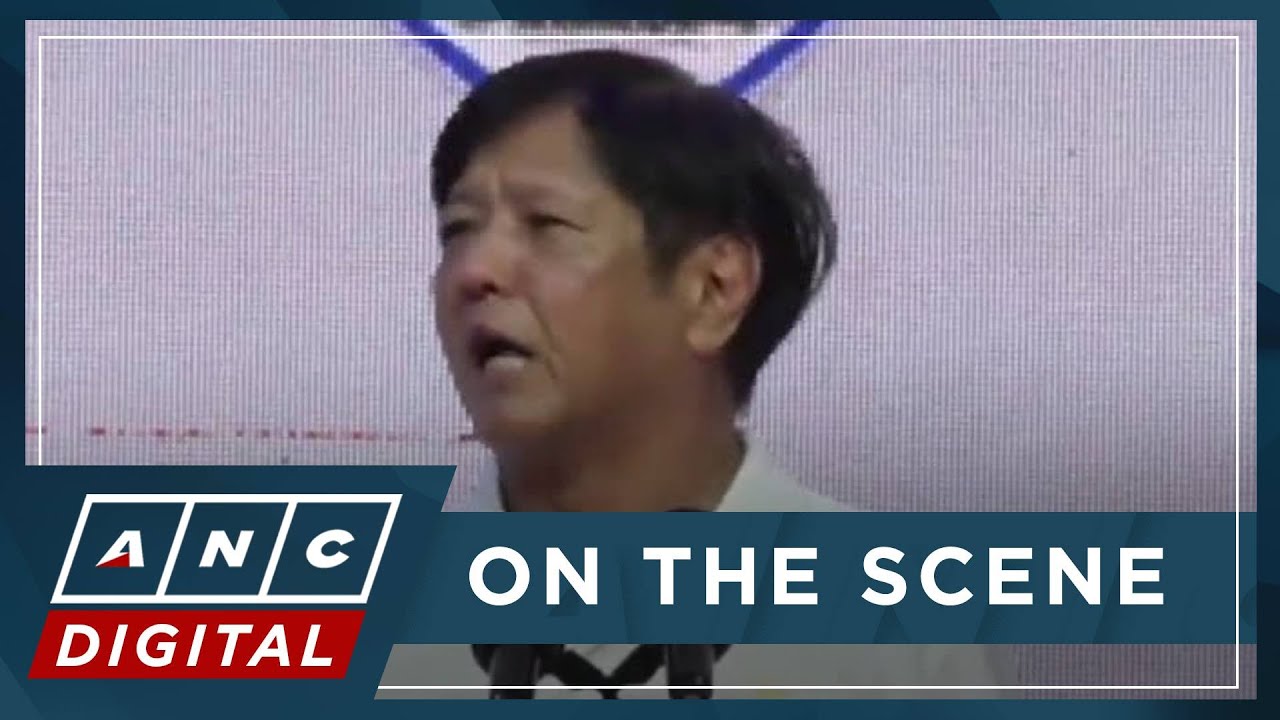 'Ang Alyansa lamang ang may paninindigan': Marcos again touts senatorial bets at Iloilo rally | ANC