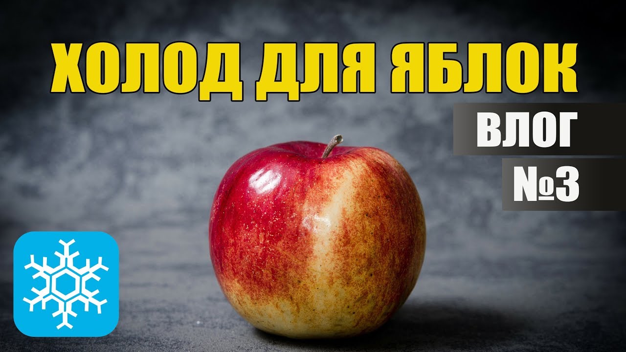 Холодильное оборудование для хранения яблок | ВЛОГ №3