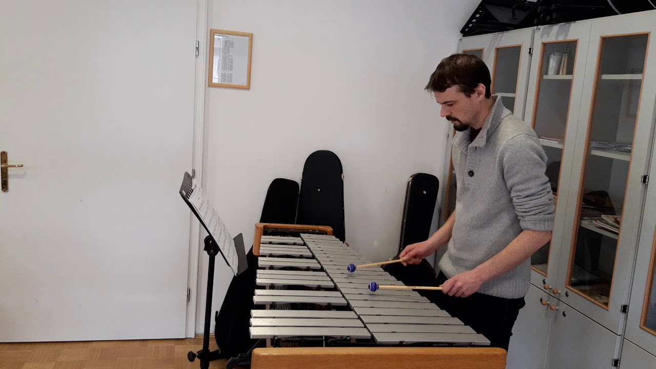 Practicing vibraphone #2 - N.J. Živković - Summersong