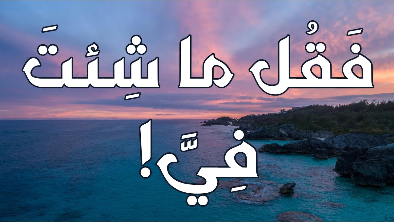 زماني كله غضب وعتب - وعاملني بإنصاف وظلم | أبو فراس الحمداني إلى سيف الدولة | أداء جميل