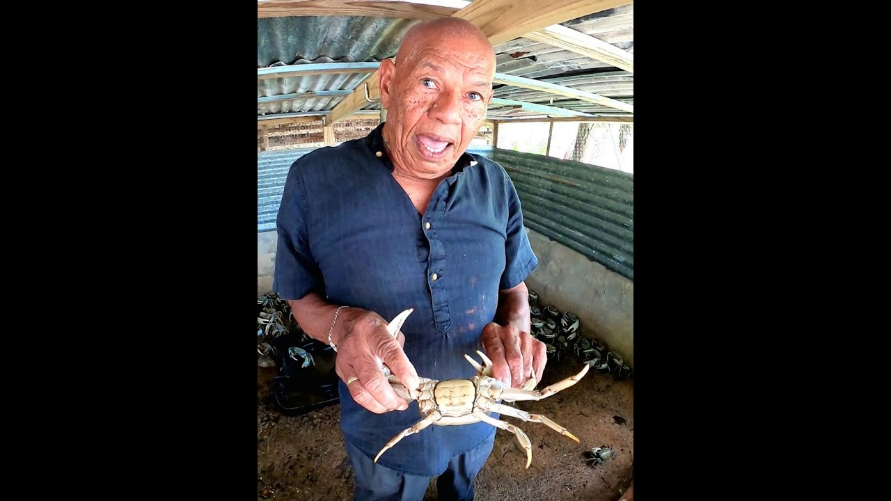 [Orgullo] 🙏🇵🇷 72 Años Limpiando Jueyes 😍🦀 con Maiz y Frutas ❤️ Don Ruben nos Enseña su Pasion !!