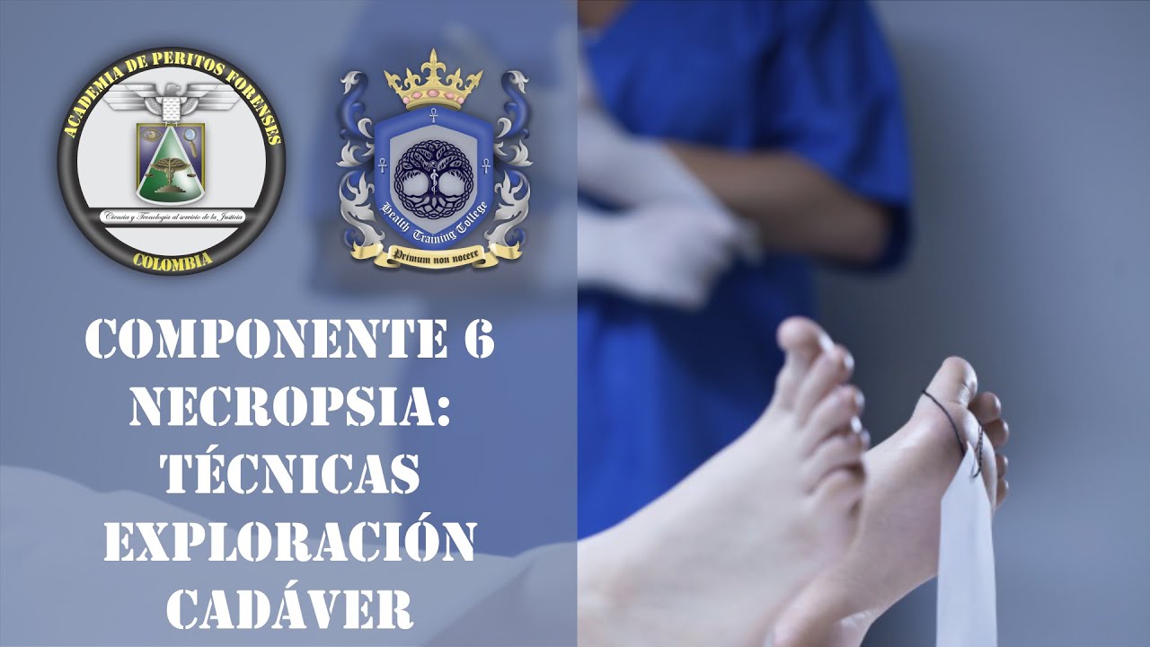 Componente 6 necropsia: Técnicas de exploración del cadáver.