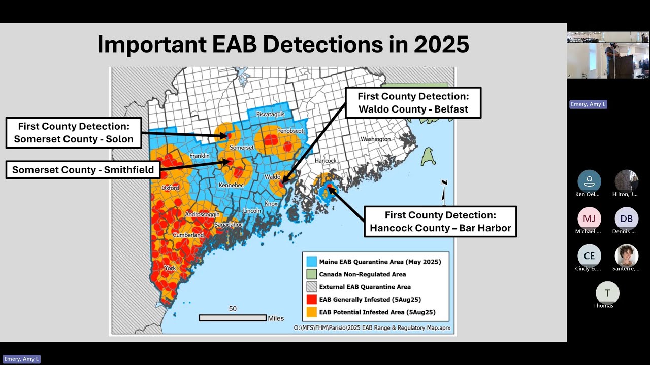Emerald Ash Borer and Other Tree Health Concerns DACF Update for Cities and Towns September 11, 2025