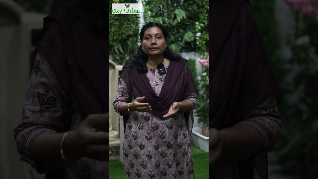 Terrace Makeover with Home Garden & Pergola | Create a Wellness Space | மாடி தோட்டம், பெர்கோலா