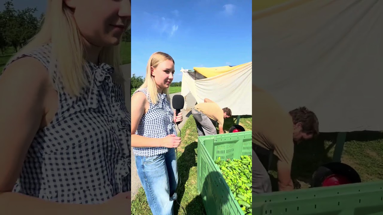 Die einzige Essiggurkenfabrik der Schweiz - Reportage #reportage #schweiz #deutsch