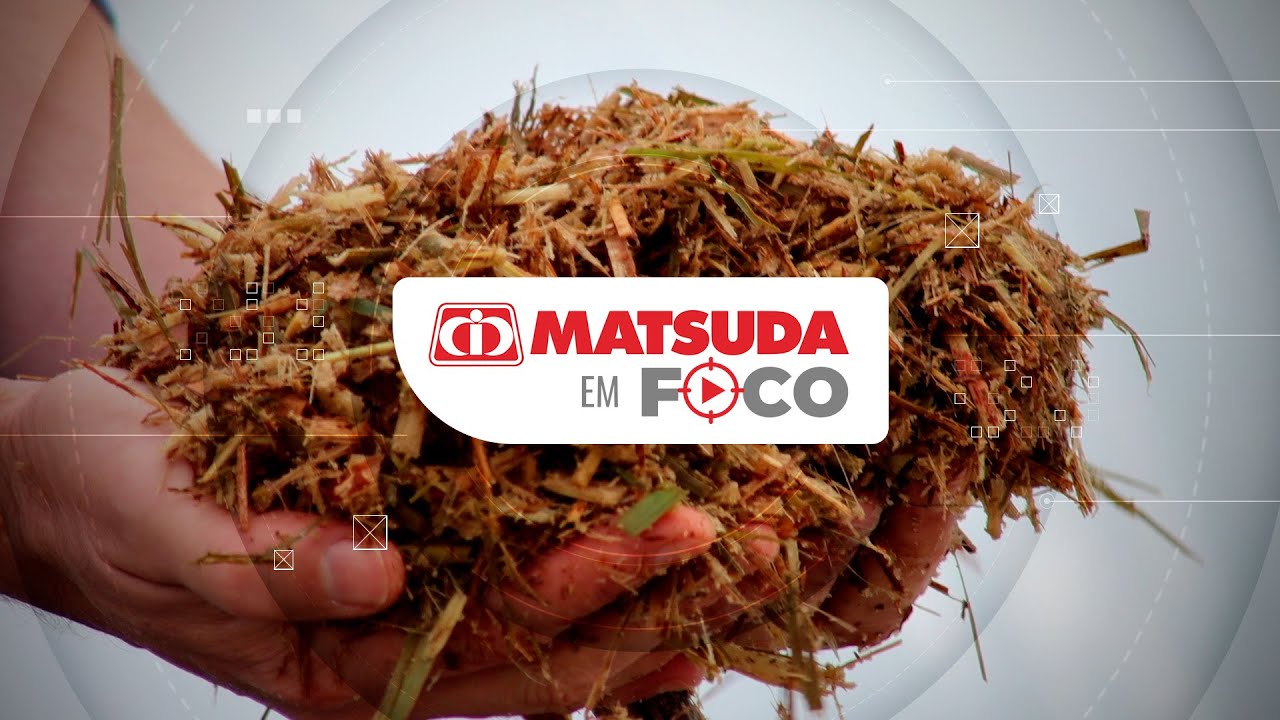 Matsuda em Foco l As vantagens da silagem de cana