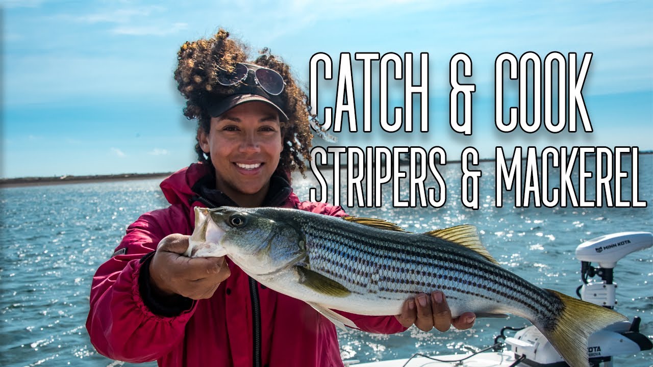 Striped Bass & Mackerel Catch & Cook - Gaspé Adventures - E.1
