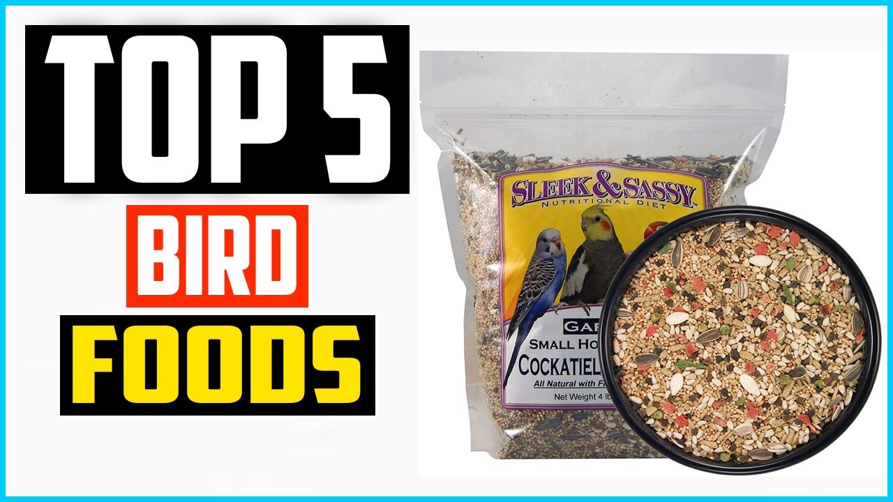 ✅Top 5 Best Bird Foods in 2024 Reviews