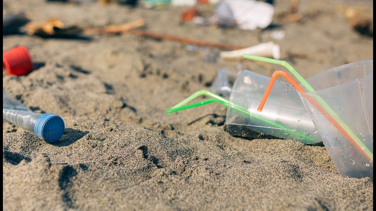 La toxicidad que liberan los plásticos