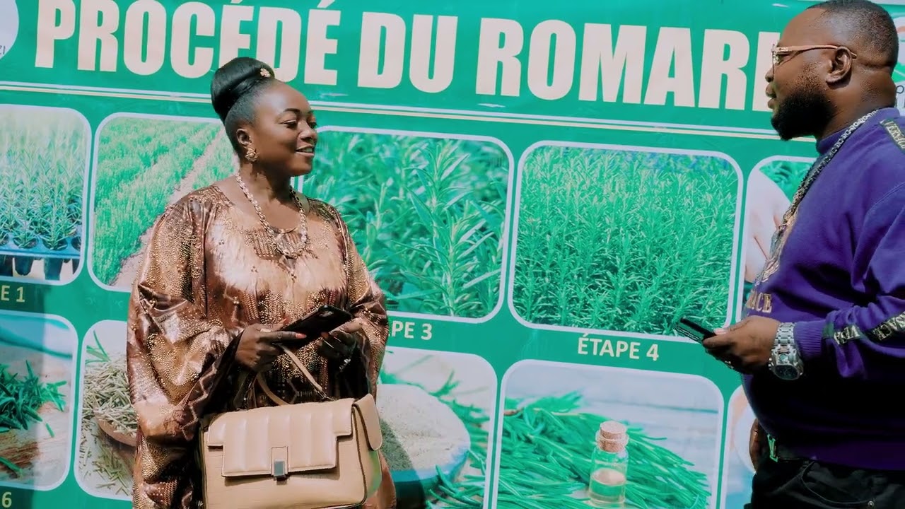 Sao oscar mkey clip officiel 