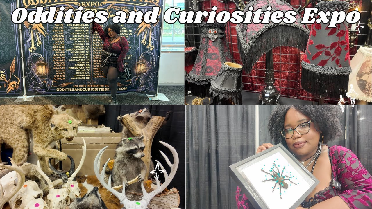 Oddities and Curiosities Expo Vlog💀: GRWM, Antiques, Taxidermy, Blood Jewelry, and more...