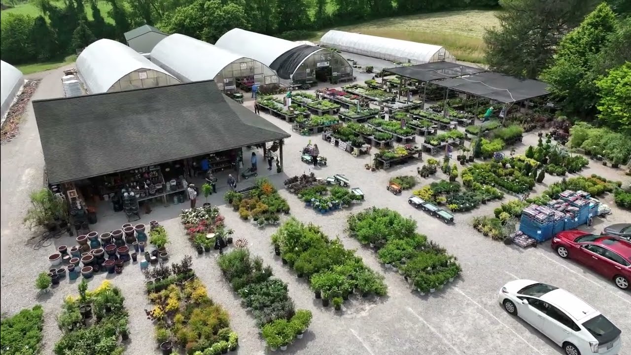 ‏‎ VA‎‏Blacksburg‎‏ - Crow's Nest Greenhouses