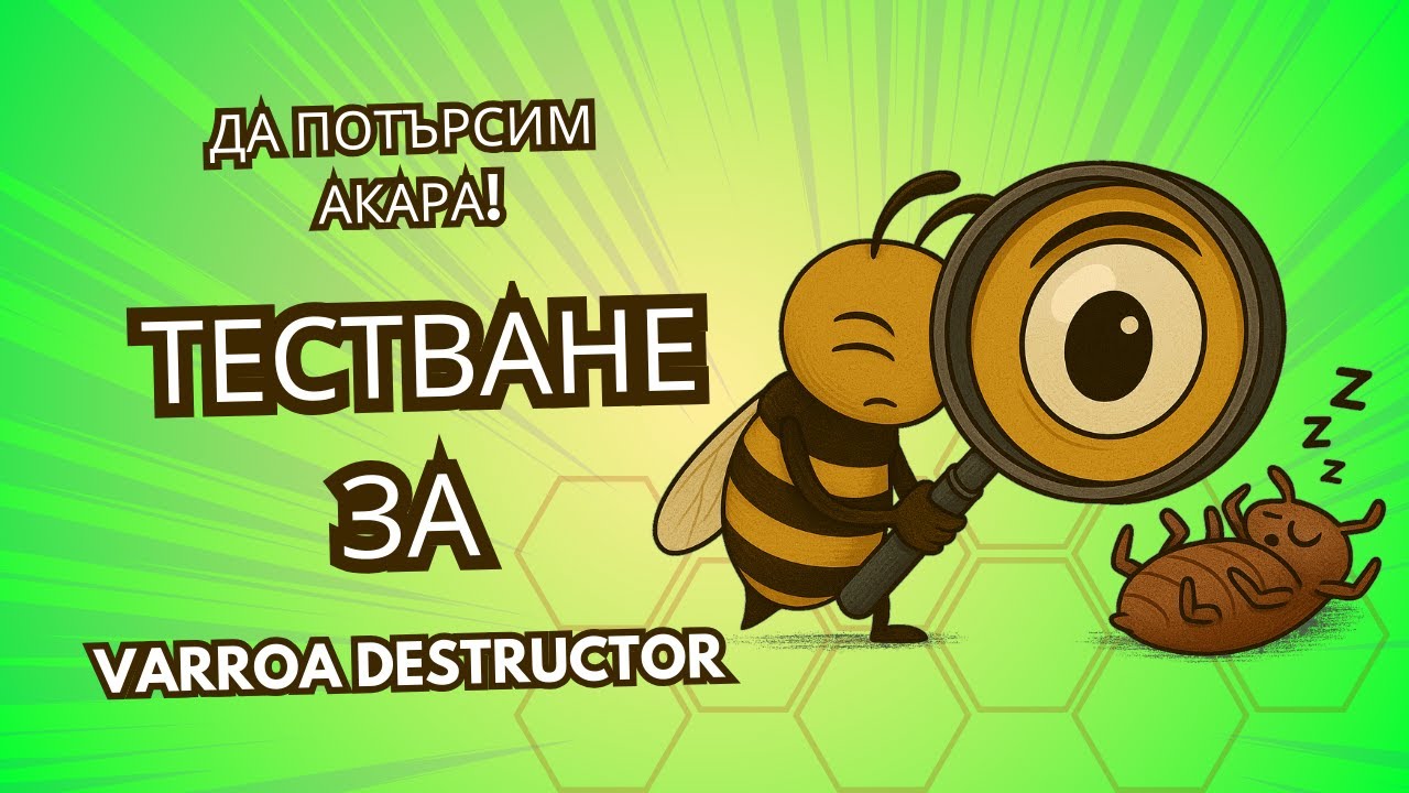 Тестване за акари. Какво ни казват тестовете за вароа?
