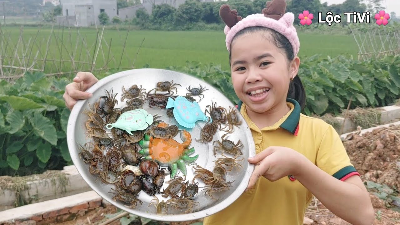 Lộc TiVi 1 Ngày đi xúc Cá, Tôm, Cua, Ốc 3