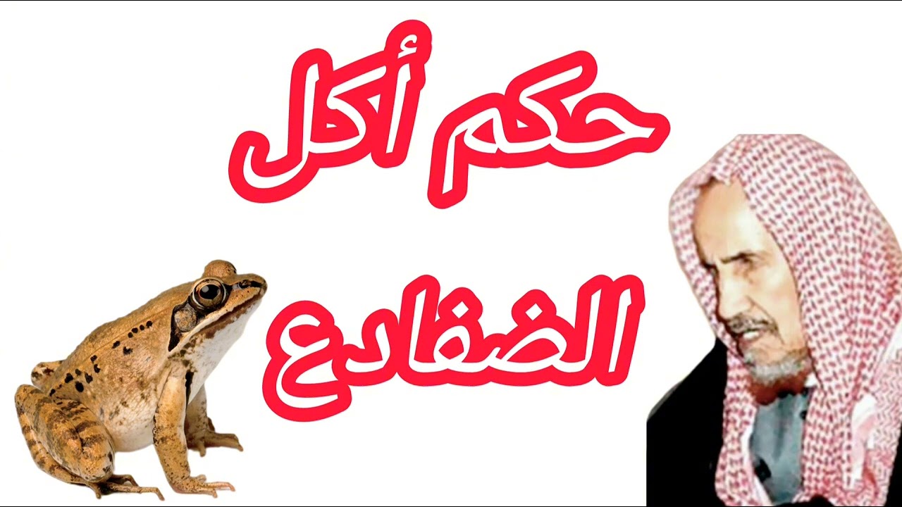 حكم أكل الضفادع - العلامة إبن باز