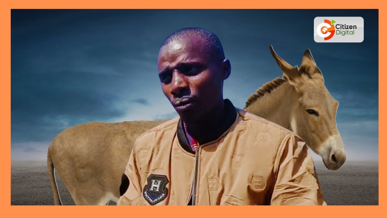 22 year old student campaigned on borrowed donkey to win MCA seat
