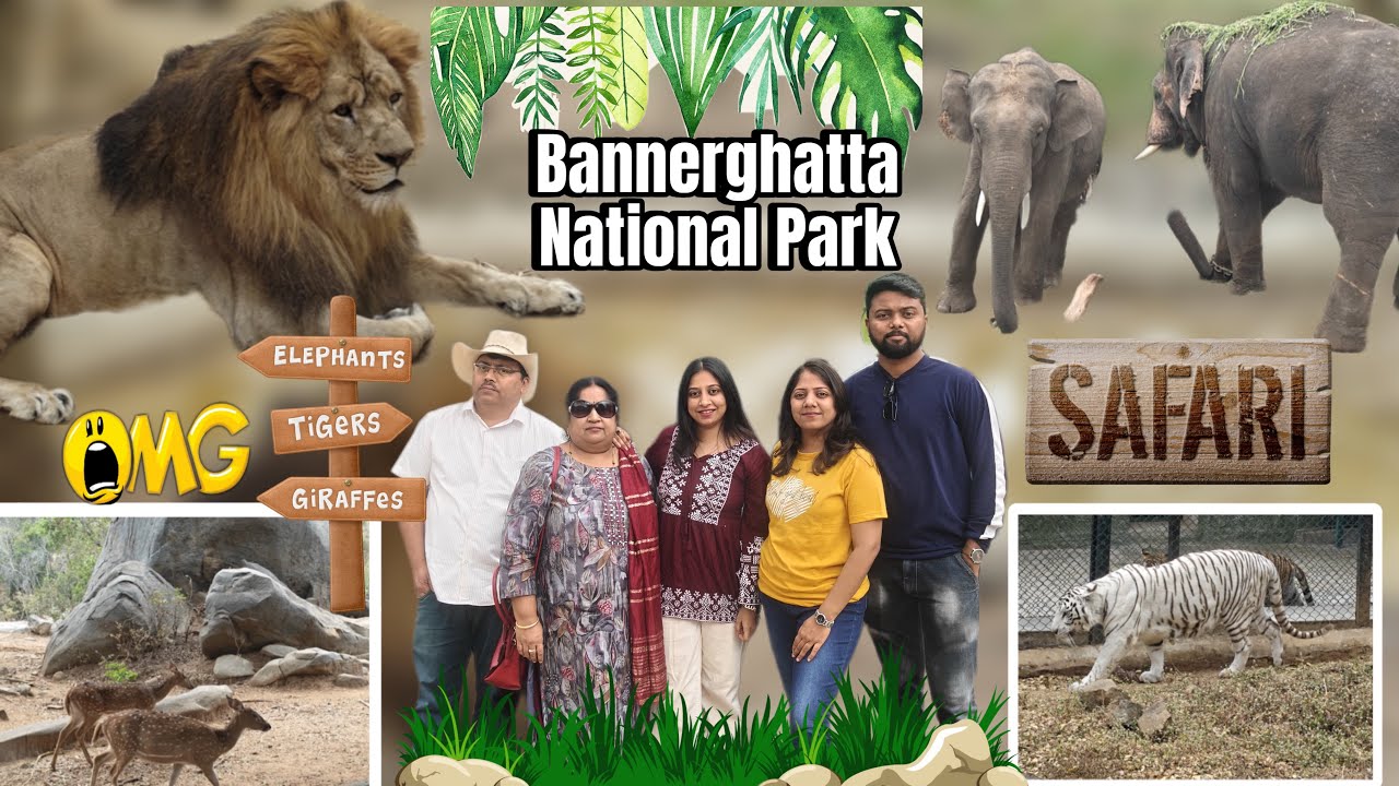 |ನಮ್ಮ Bannerghatta National Park 😍🦁 | Safari Experience| 🚎Safari ವೇಳೆ ಹುಲಿ ನಮ್ಮ ಹತ್ತಿರ ಬಂದ ಅನುಭವ|😰