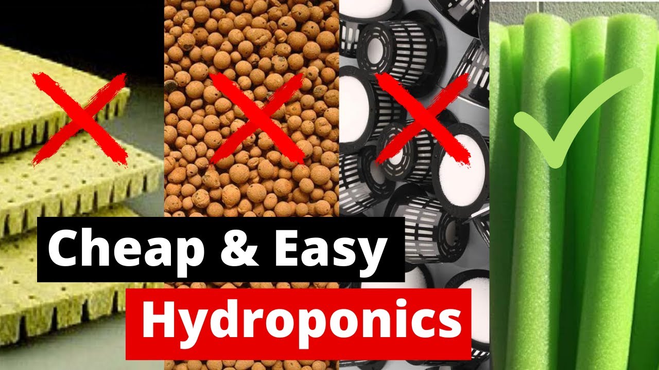 Tanie i łatwe hydroponiki DIY | Zamień drogie rzeczy na makaron basenowy za 1 dolara