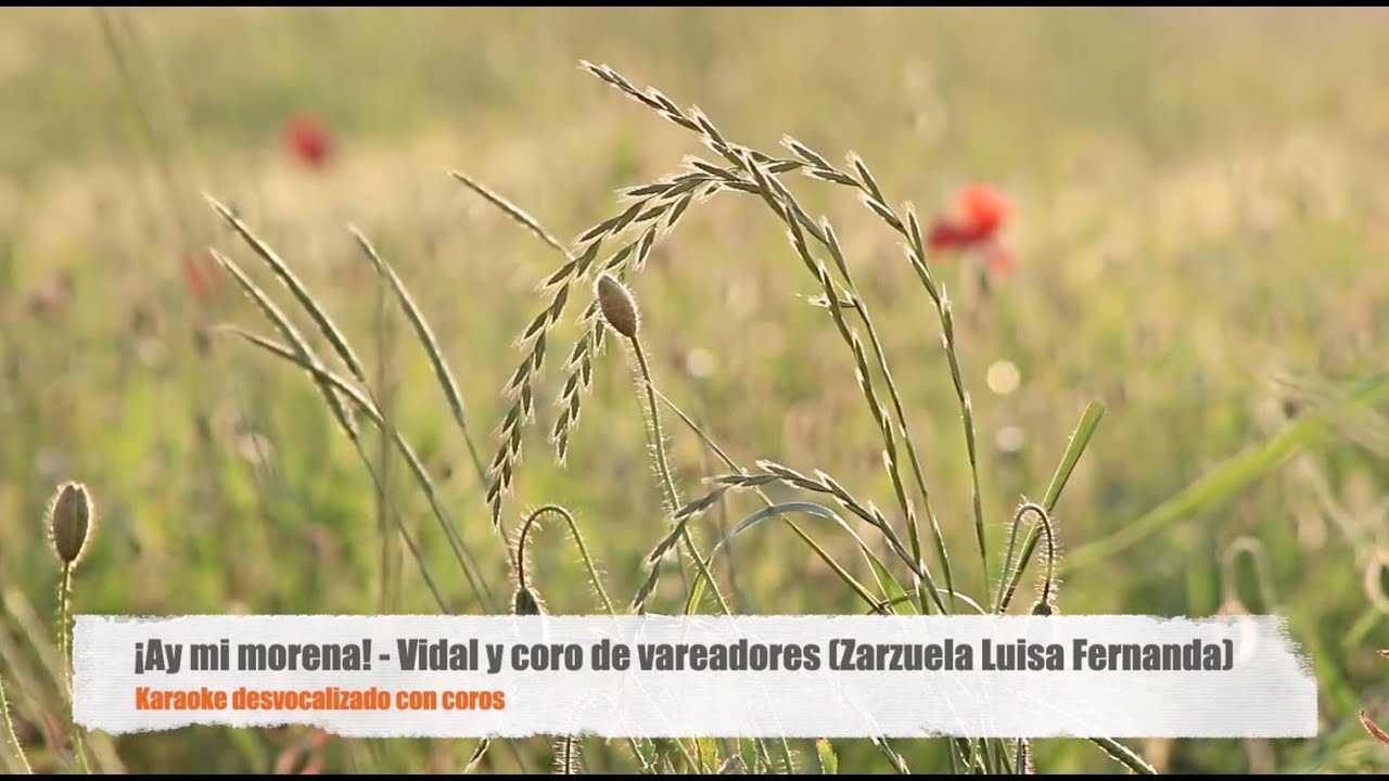 Ay mi morena - Vidal y Coro de Vareadores -  Luisa Fernanda (Karaoke)