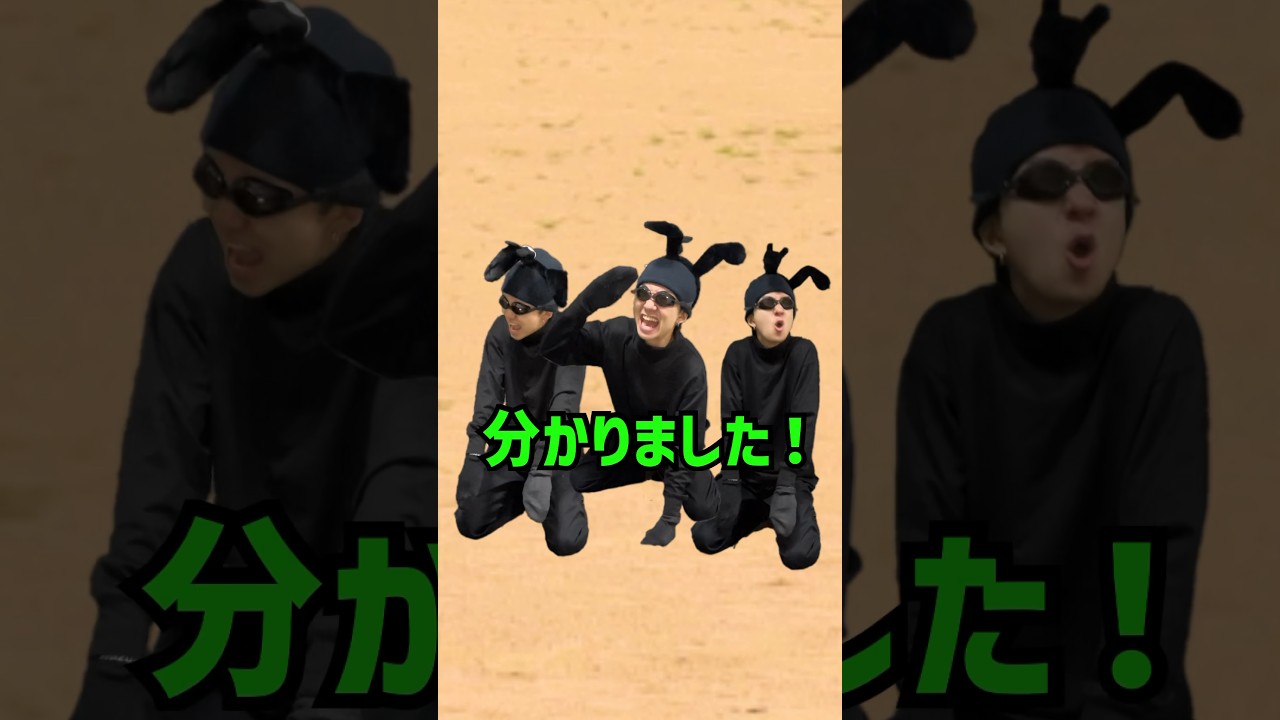 超田舎者のアリ　#shorts
