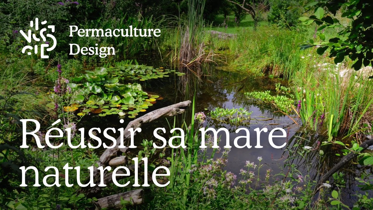 Comment réussir sa mare naturelle ?